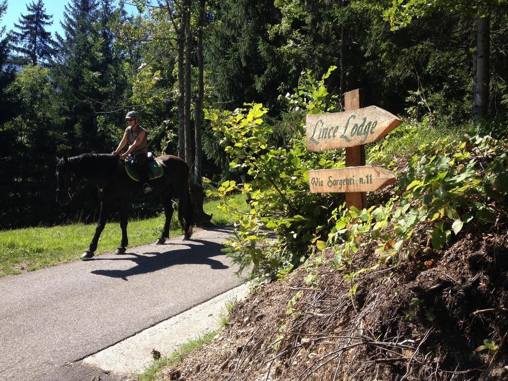 La Lince Lodge Camporosso  Luaran gambar