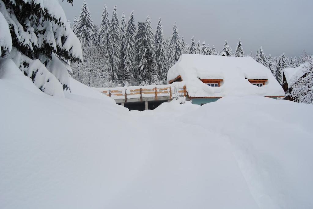 La Lince Lodge Camporosso  Luaran gambar